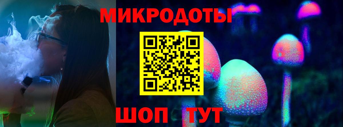 Галлюциногенные грибы Psilocybine cubensis Серпухов